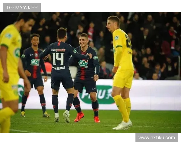 南特俱乐部发布最新动态：新赛季阵容调整与球员伤情报告