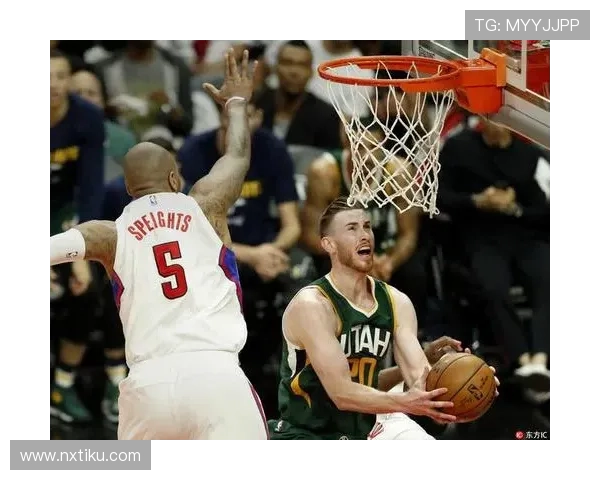 爵士队新赛季展望 埃顿加盟能否提升球队竞争力与战术深度